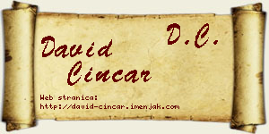 David Cincar vizit kartica